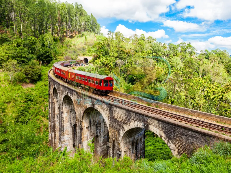 Day 4