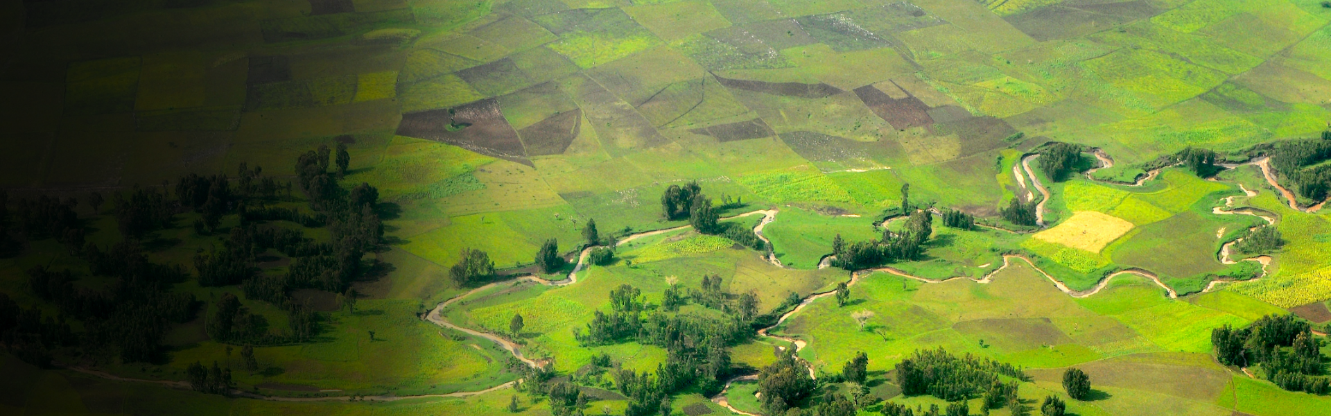 ethiopia-three