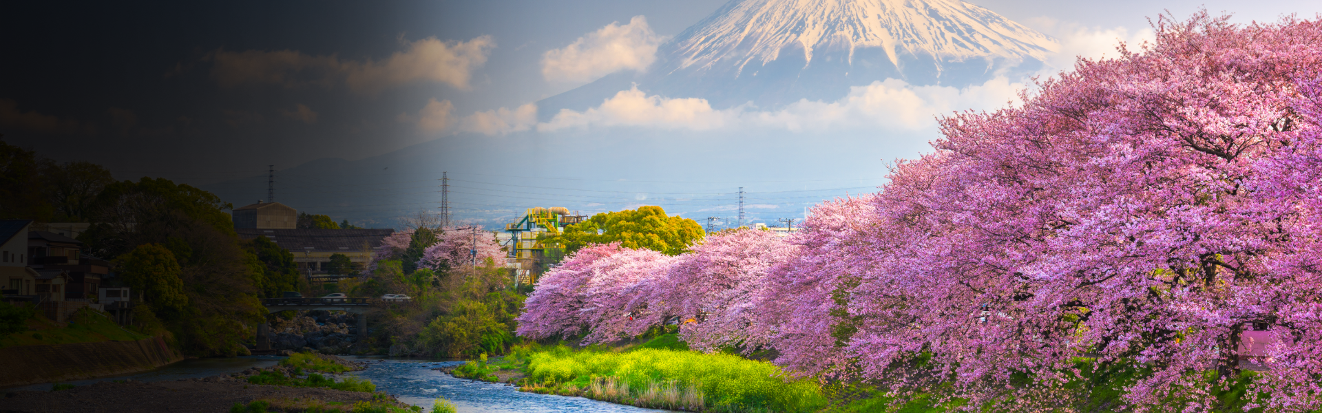 japan-four