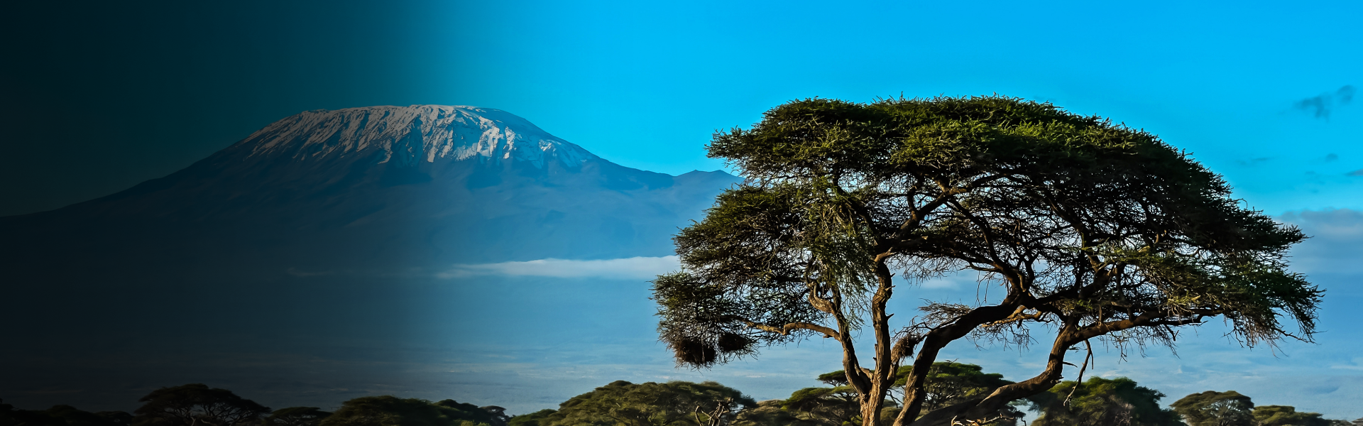 kenya-one