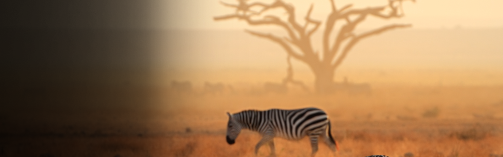 kenya-three
