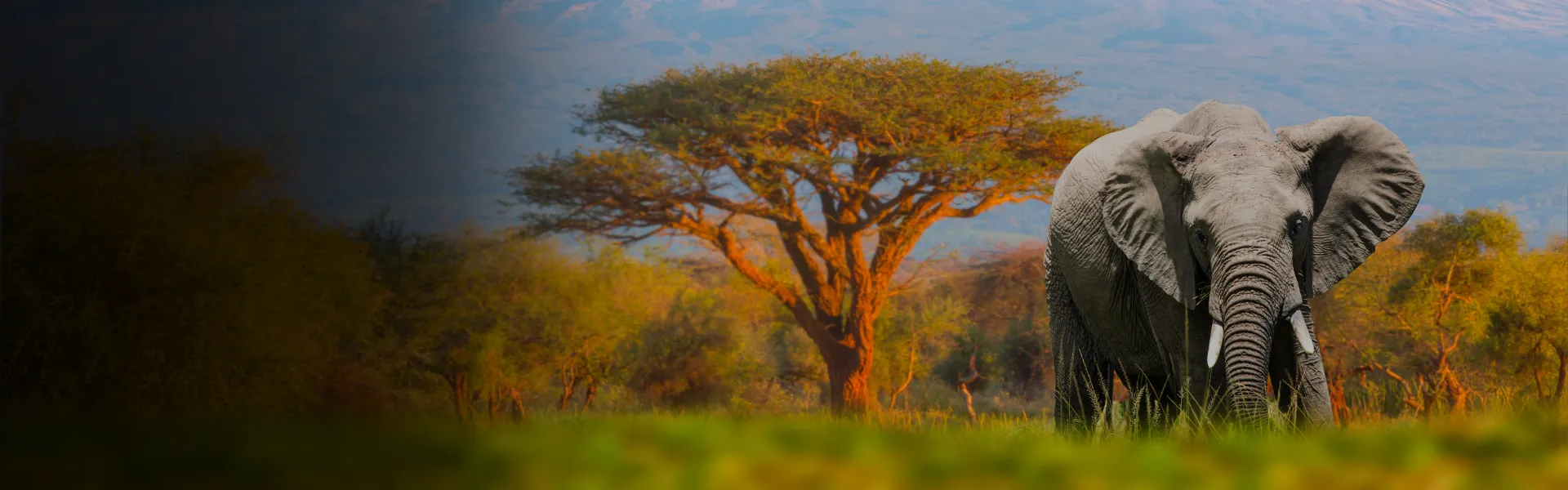 tanzania-one