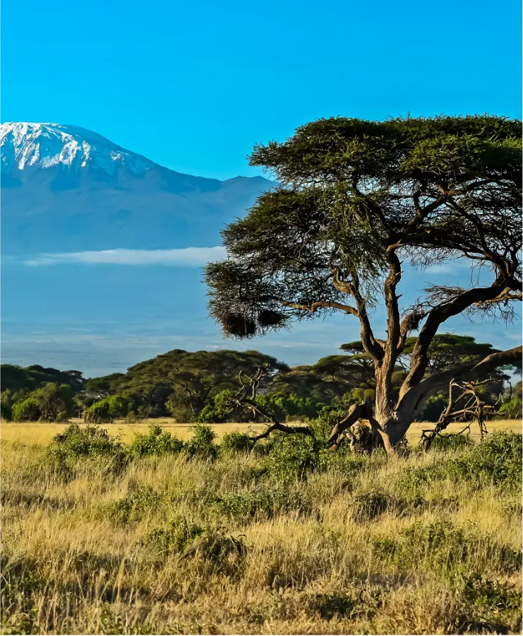 kenya