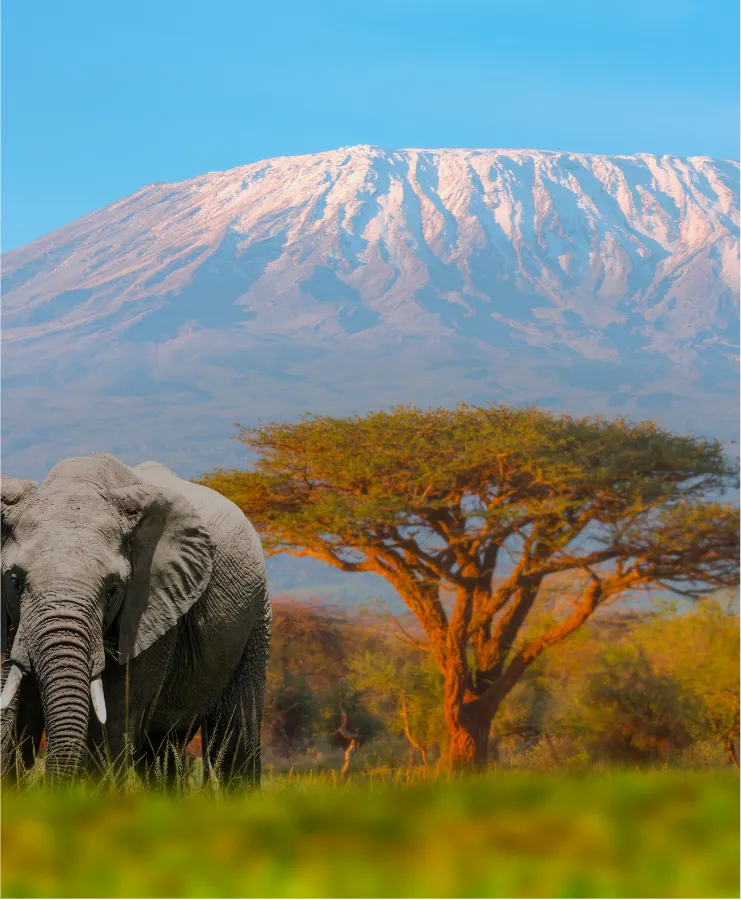 tanzania